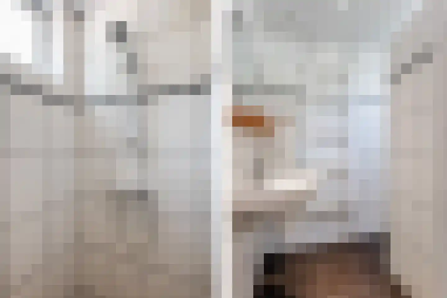 Nijverheidskade 8 Wildervank thumbnail 15