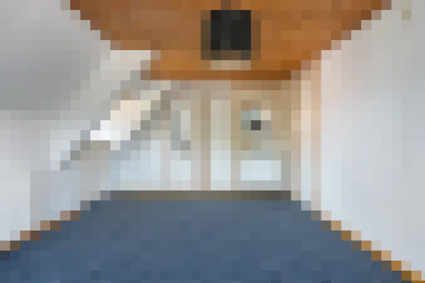 Nijverheidskade 8 Wildervank thumbnail 25