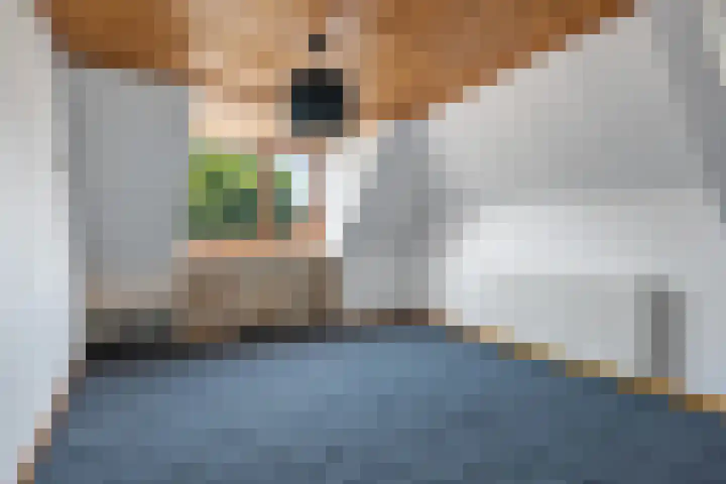 Nijverheidskade 8 Wildervank thumbnail 4