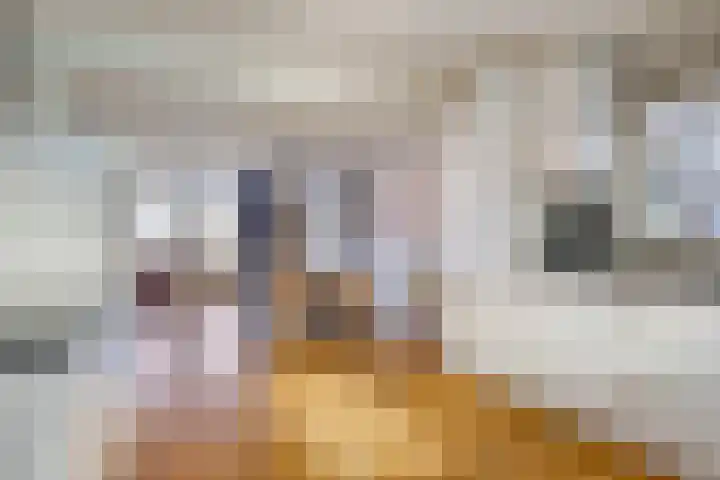 Nijverheidskade 80 Wildervank thumbnail 17