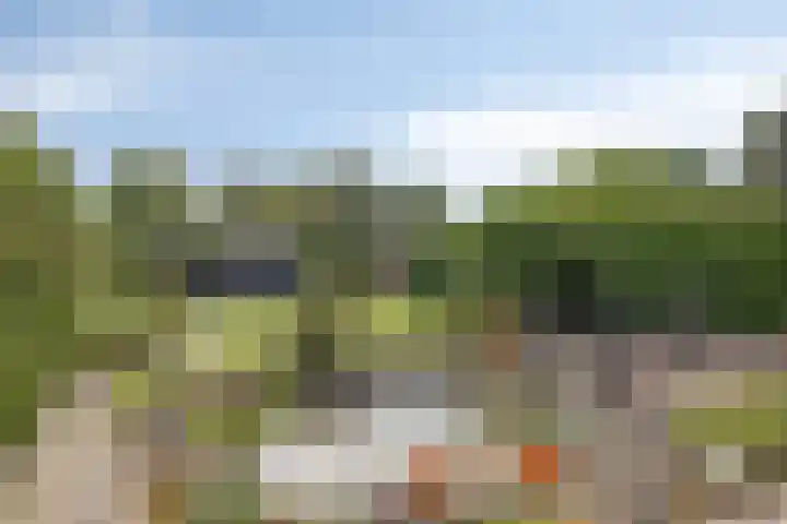 Nijverheidskade 80 Wildervank foto 2