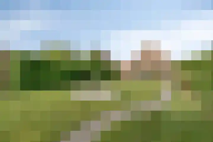Nijverheidskade 80 Wildervank thumbnail 37