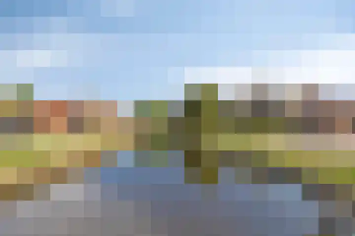 Nijverheidskade 80 Wildervank thumbnail 42
