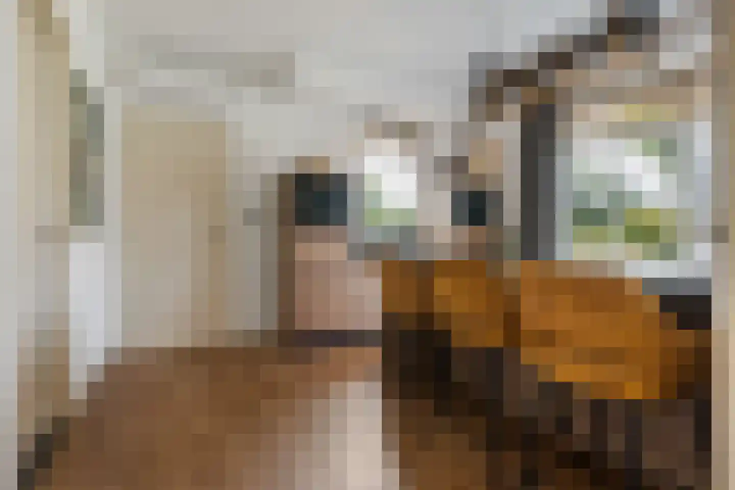 Nijverheidskade 84 Wildervank thumbnail 15