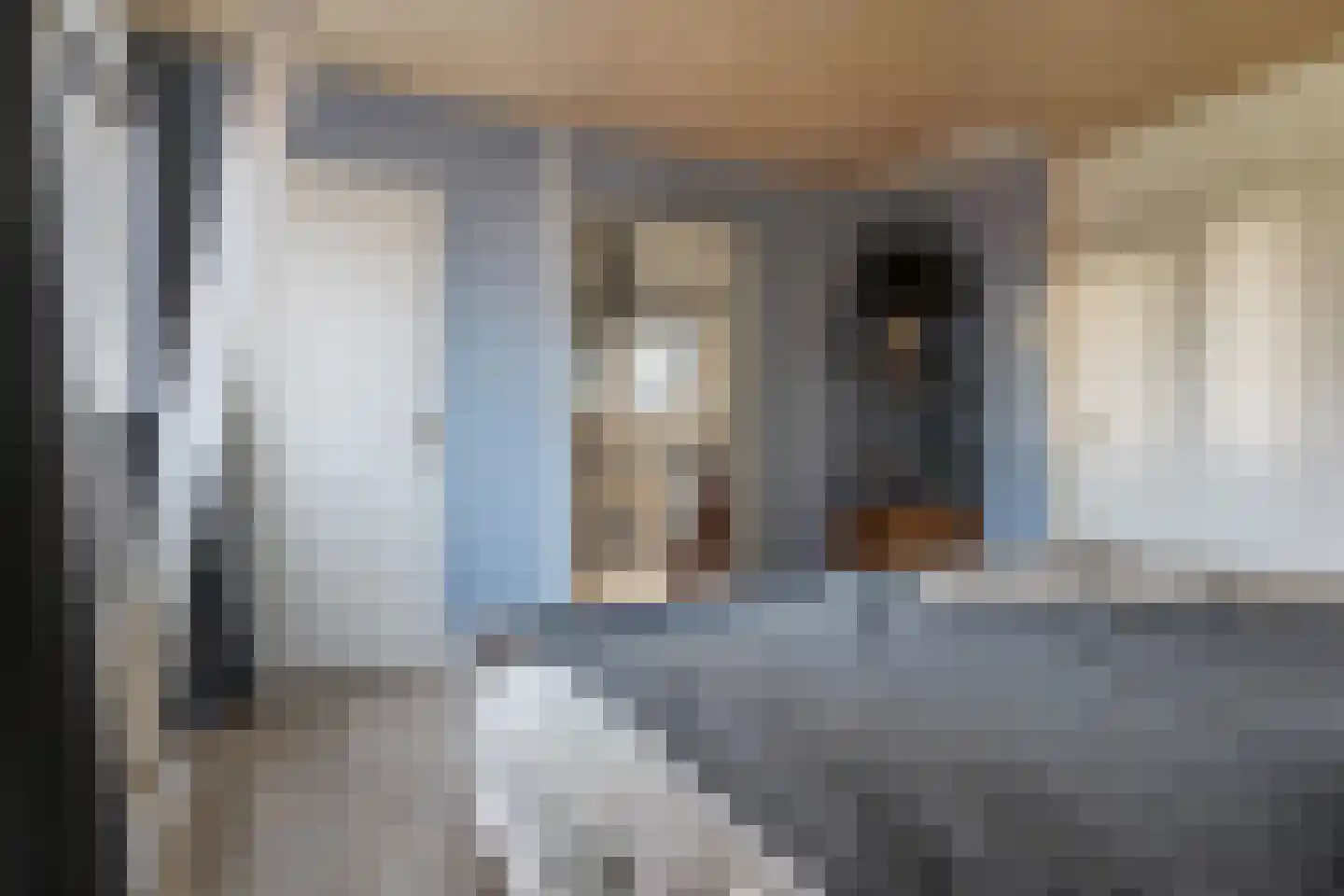 Nijverheidskade 84 Wildervank thumbnail 30
