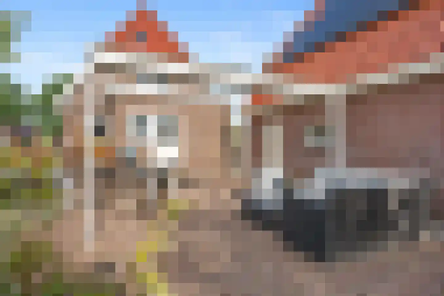 Nijverheidskade 84 Wildervank thumbnail 36