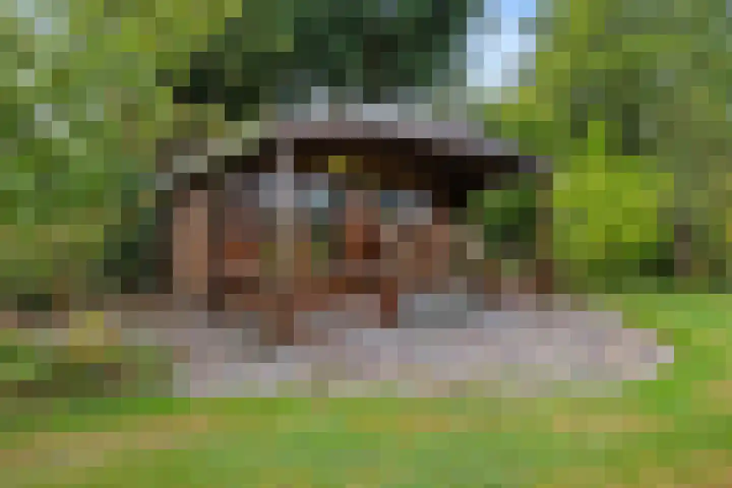 Nijverheidskade 84 Wildervank thumbnail 41