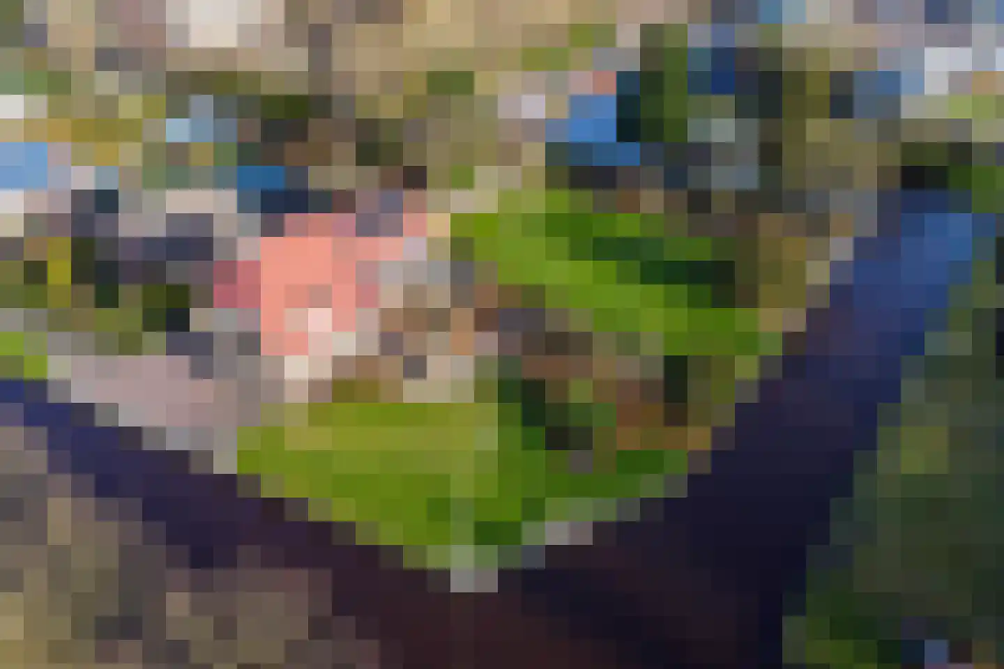 Nijverheidskade 84 Wildervank thumbnail 56