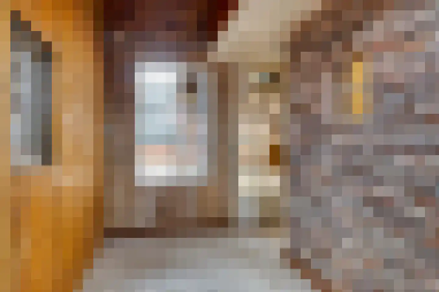 Nijverheidskade 87 Wildervank thumbnail 27