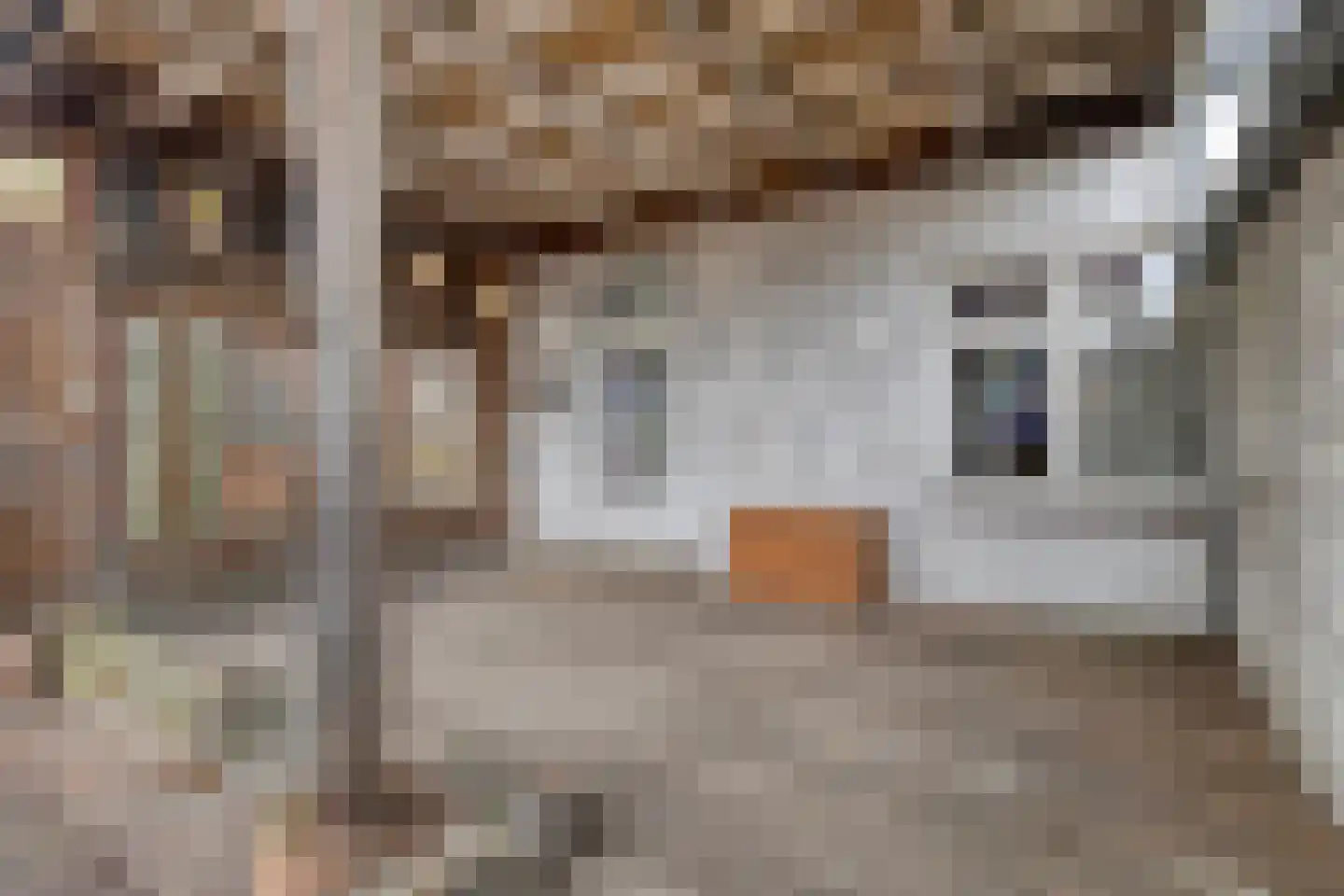 Nijverheidskade 87 Wildervank thumbnail 41