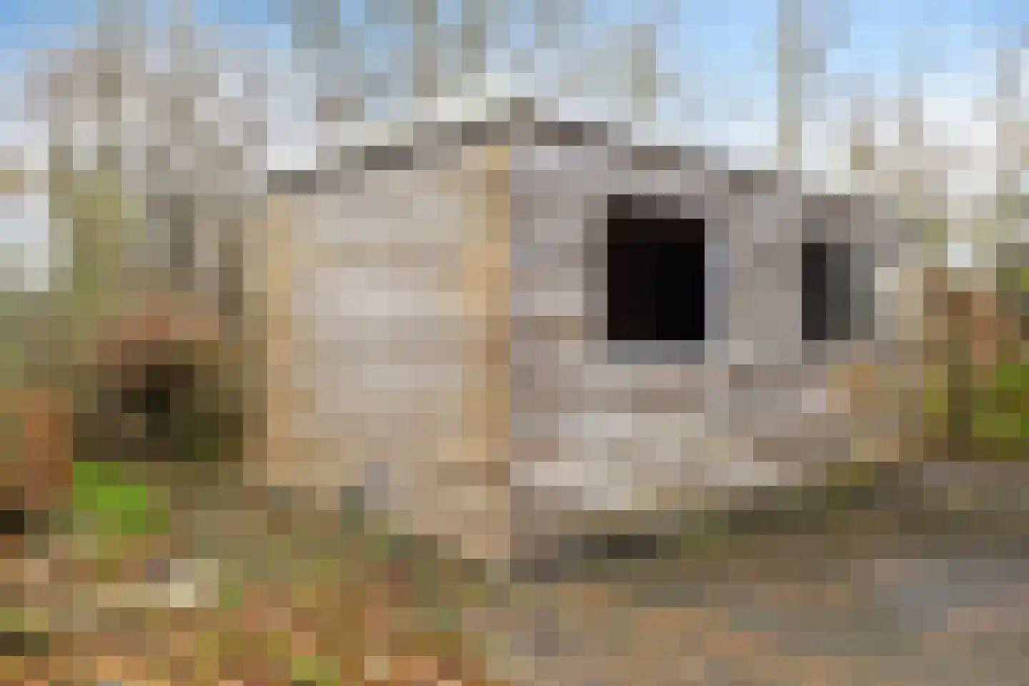 Nijverheidskade 87 Wildervank thumbnail 54