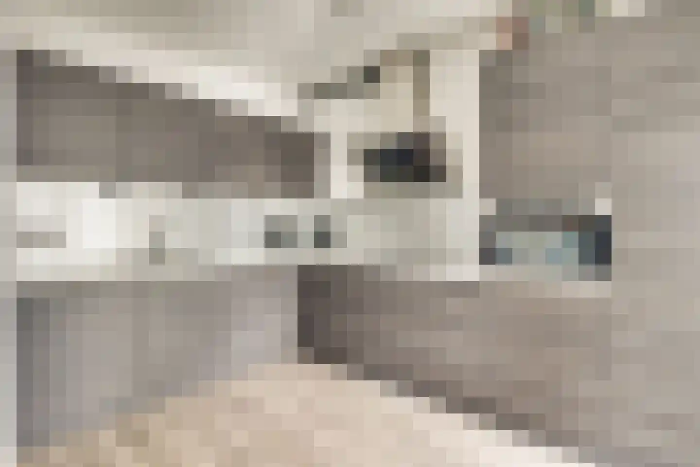 Nijverheidslaan 32 Veldhoven thumbnail 13