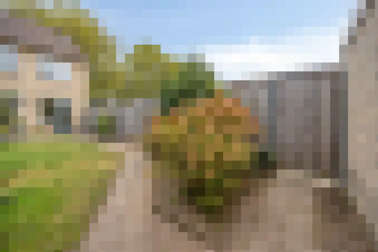 Nijverheidslaan 36 Veldhoven thumbnail 22