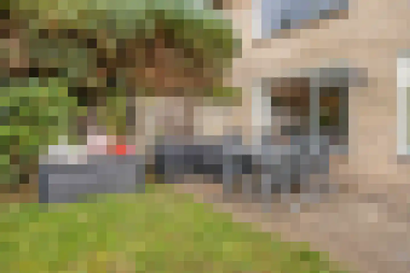 Nijverheidslaan 36 Veldhoven thumbnail 24