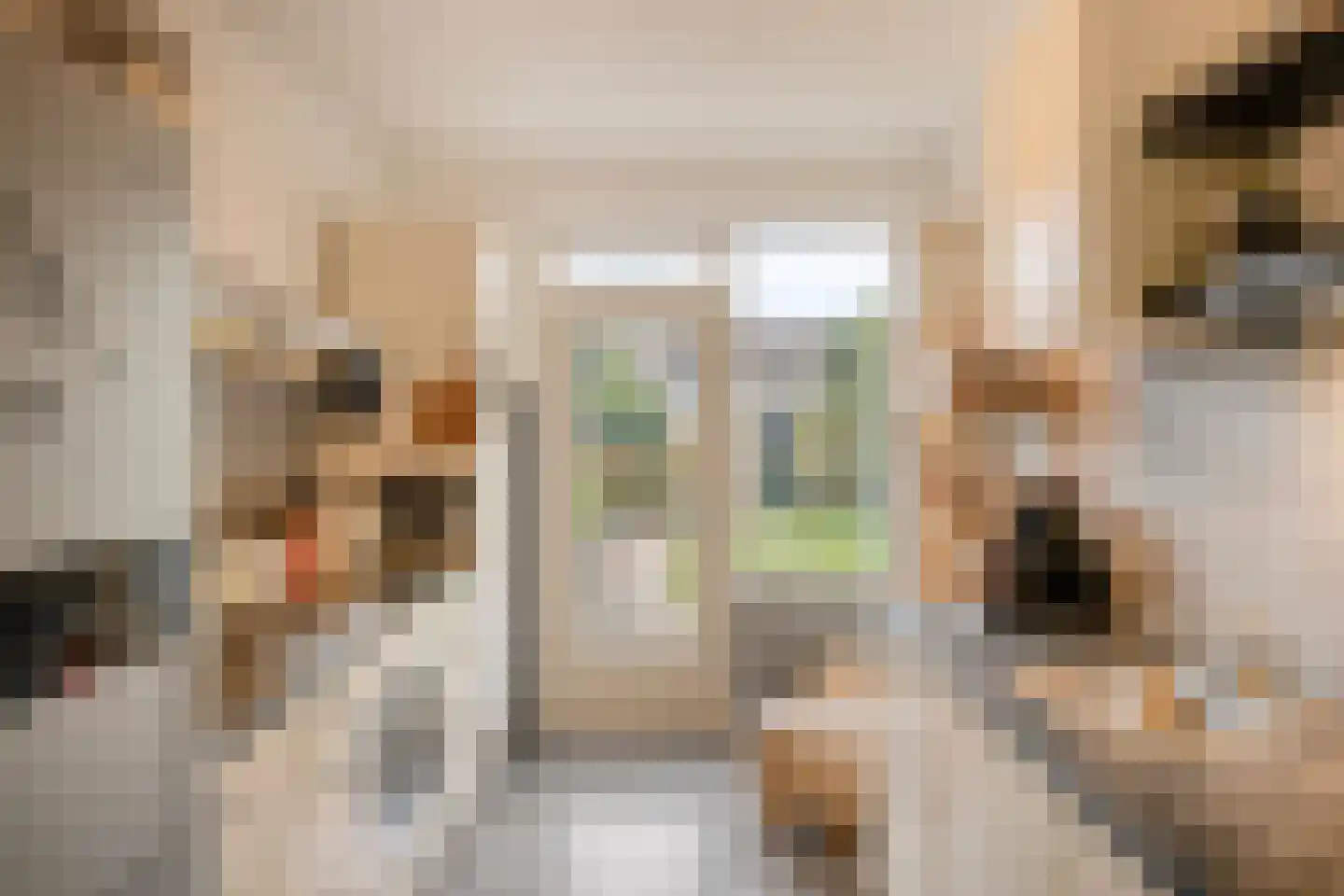 Nijverheidslaan 36 Veldhoven thumbnail 7