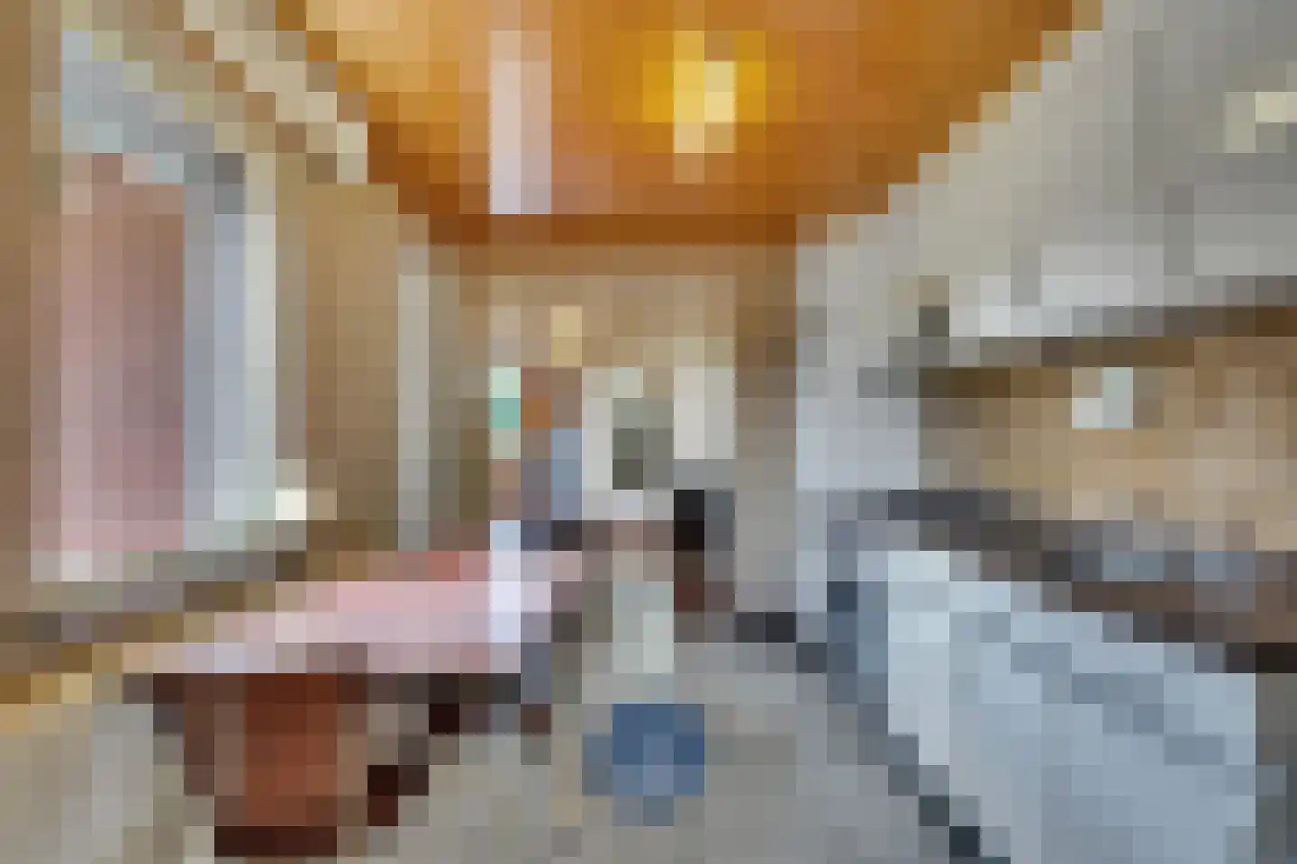 Nijverheidslaan 3620 Lanaken Veenendaal thumbnail 9