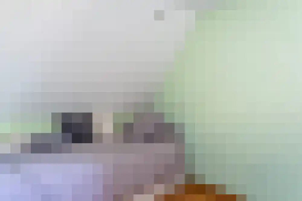 Nijverheidslaan 43 3630 Arriën thumbnail 31