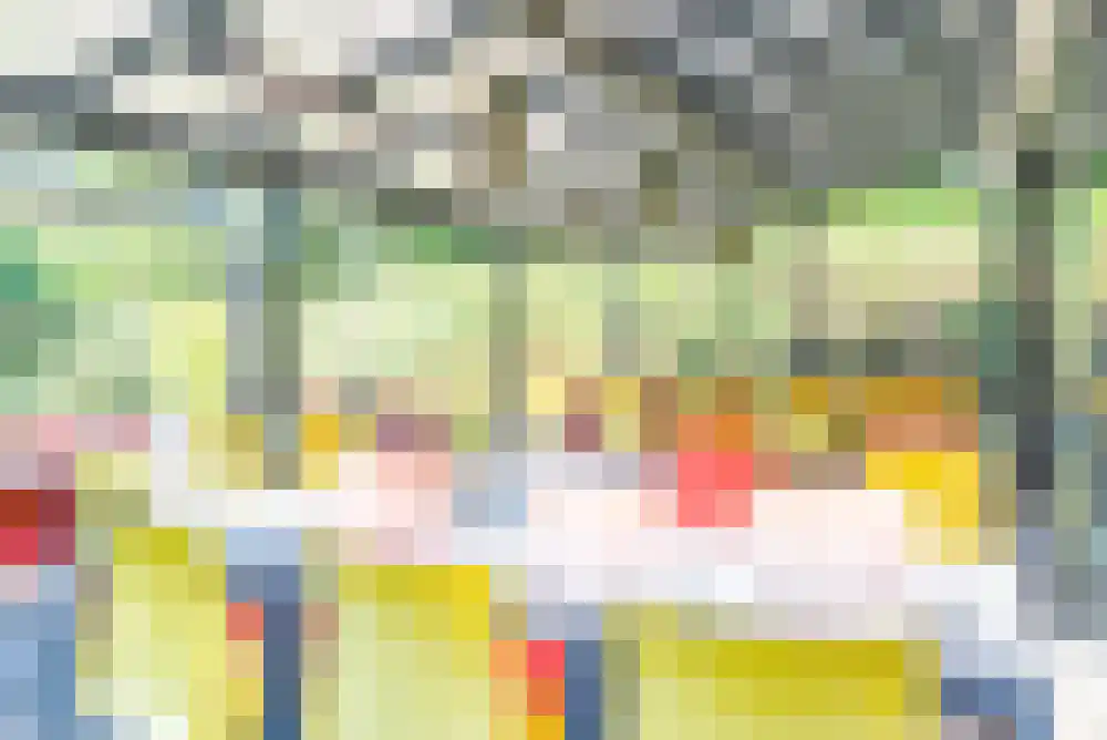 Nijverheidslaan 43 3630 Arriën thumbnail 60