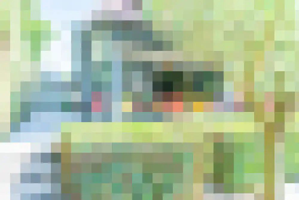 Nijverheidslaan 43 3630 Arriën thumbnail 64