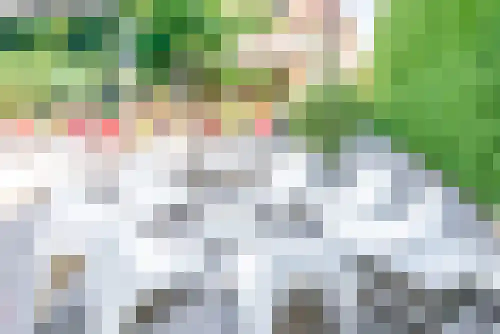 Nijverheidslaan 43 3630 Arriën thumbnail 72