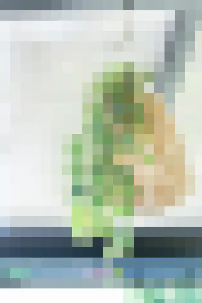 Nijverheidslaan 43 3630 Arriën thumbnail 74