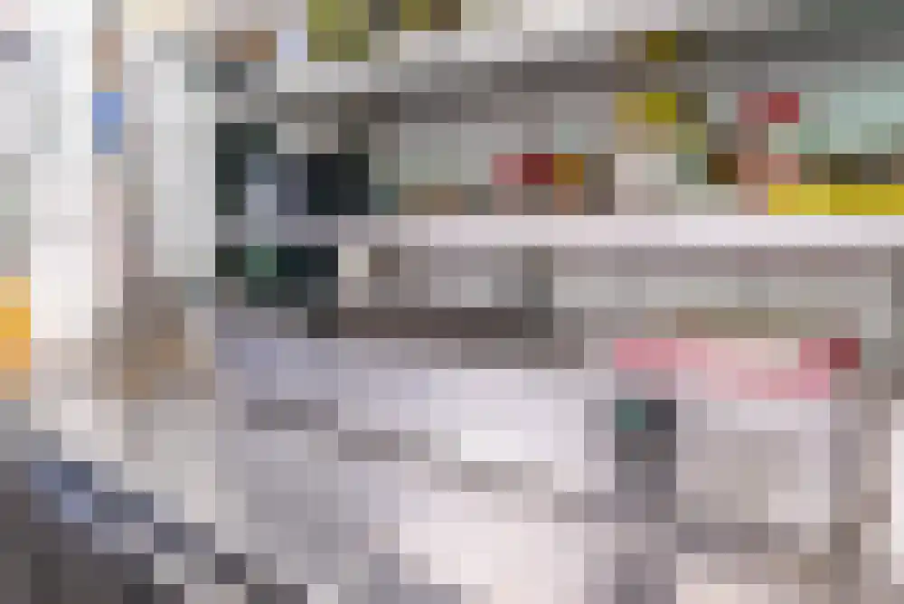 Nijverheidslaan 43 3630 Arriën thumbnail 85