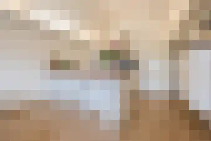 Nijverheidssingel 111 Breda thumbnail 13
