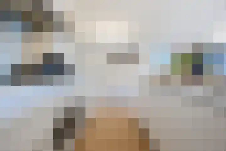 Nijverheidssingel 111 Breda thumbnail 15