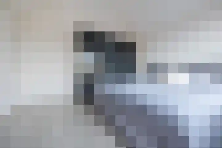 Nijverheidssingel 111 Breda thumbnail 21