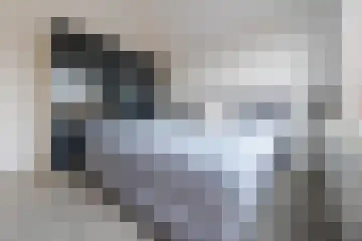 Nijverheidssingel 111 Breda thumbnail 22