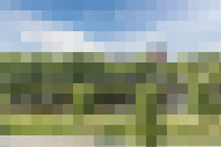 Nijverheidssingel 111 Breda thumbnail 31