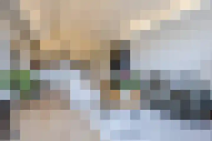 Nijverheidssingel 111 Breda thumbnail 9