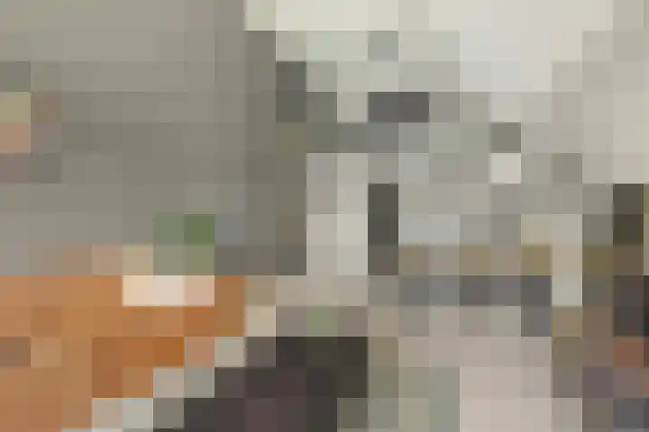 Nijverheidssingel 113 Breda thumbnail 11