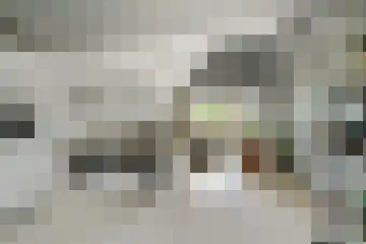 Nijverheidssingel 113 Breda thumbnail 12