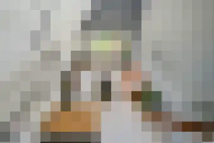 Nijverheidssingel 113 Breda thumbnail 13