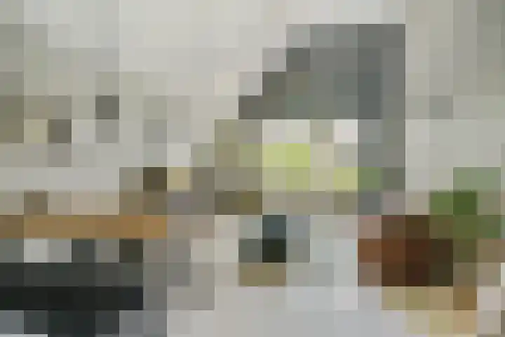 Nijverheidssingel 113 Breda thumbnail 14