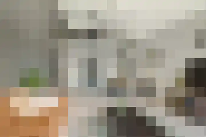 Nijverheidssingel 113 Breda thumbnail 17