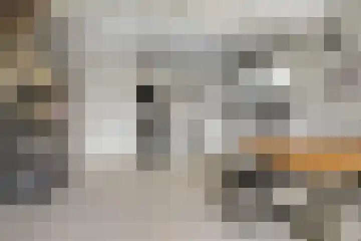 Nijverheidssingel 113 Breda thumbnail 20