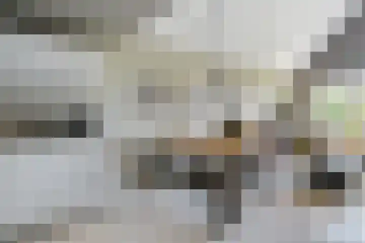 Nijverheidssingel 113 Breda thumbnail 21