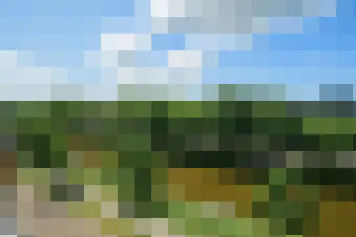Nijverheidssingel 113 Breda thumbnail 38