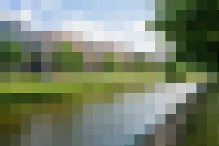 Nijverheidssingel 113 Breda thumbnail 39