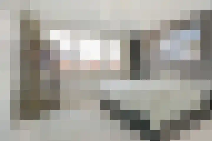 Nijverheidssingel 113 Breda thumbnail 4