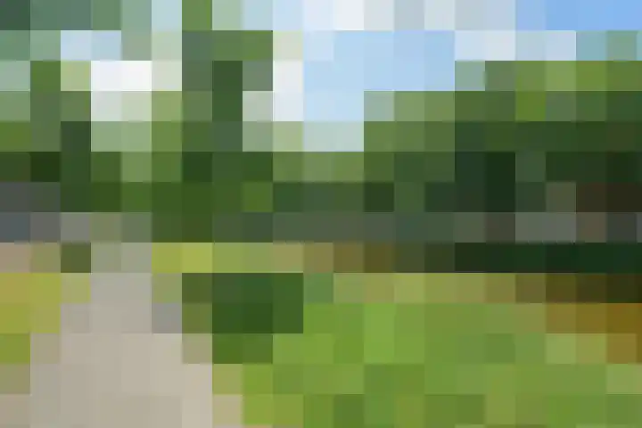 Nijverheidssingel 113 Breda thumbnail 41