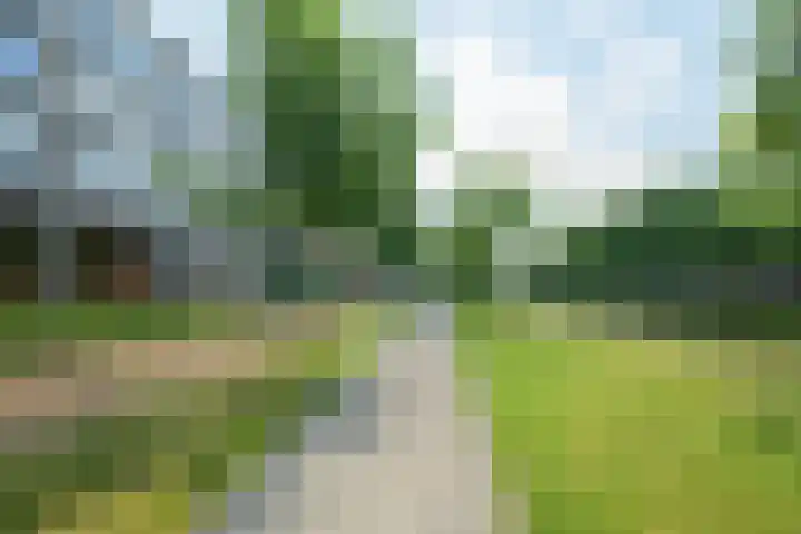 Nijverheidssingel 113 Breda thumbnail 42