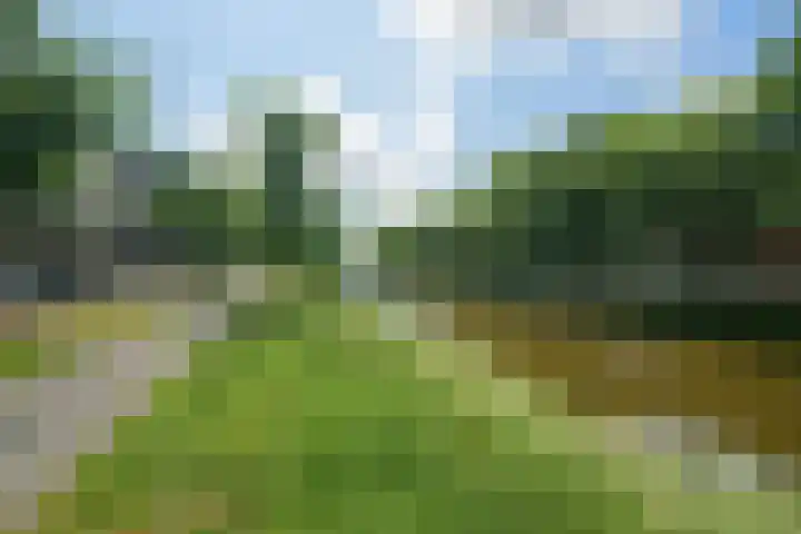 Nijverheidssingel 113 Breda thumbnail 43