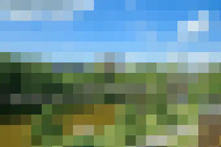Nijverheidssingel 113 Breda thumbnail 5