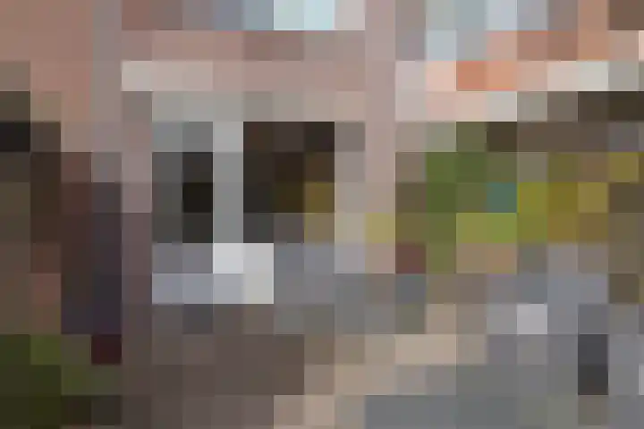 Nijverheidssingel 117 Breda thumbnail 24