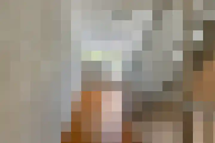 Nijverheidssingel 117 Breda thumbnail 26