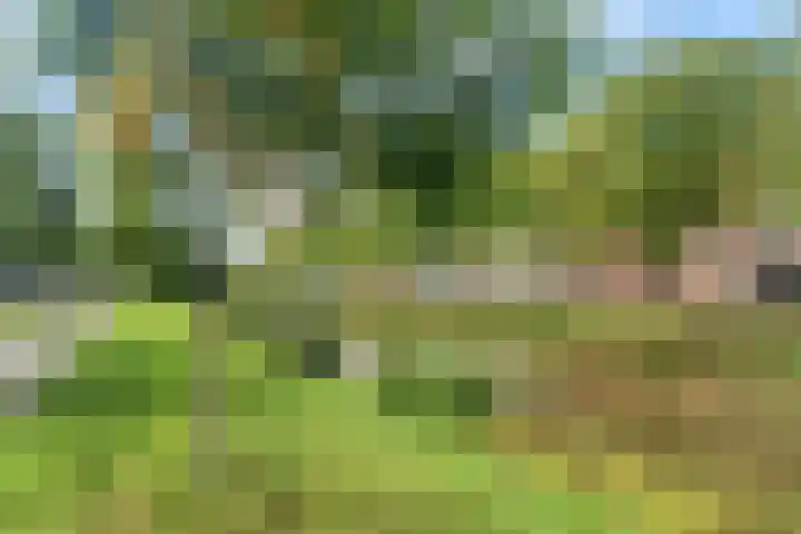 Nijverheidssingel 117 Breda thumbnail 28