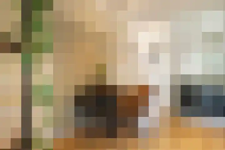 Nijverheidssingel 117 Breda thumbnail 8